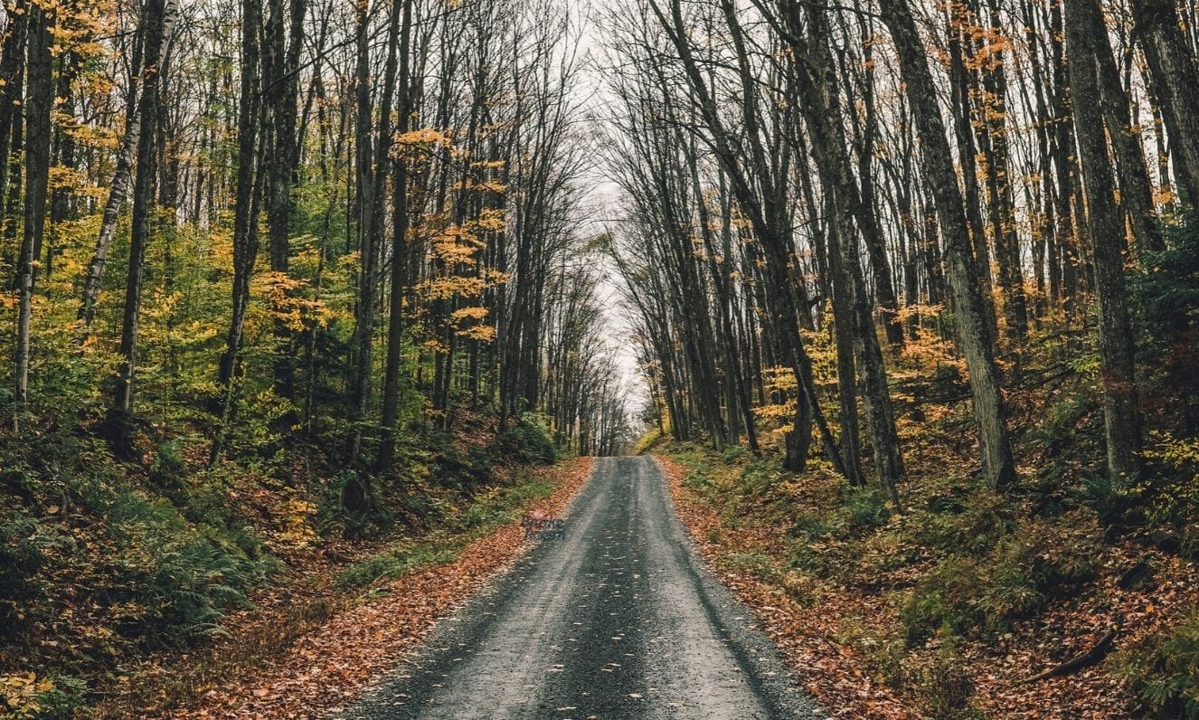 Ontario's Best Fall Cycling: Hastings County's Most Scenic Fall Routes & Lookouts
